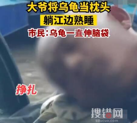 大爺將烏龜當枕頭躺江邊熟睡 到底是什么情況？