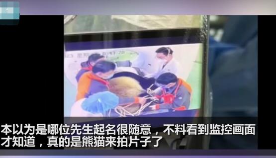 醫院有位患者叫熊貓是真熊貓 到底是什么情況?