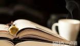 2024年吉林醫藥學院錄取分數線(今年高考所有分數線一覽表參考)