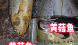 網購黃花魚到手只有包裝是黃的 為什么這么坑人？