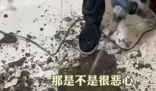女子吐槽樓上鄰居馬桶正對自家廚房 究竟是怎么回事？