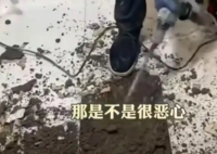 女子吐槽樓上鄰居馬桶正對自家廚房 究竟是怎么回事？