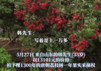 90后小伙拍下1300年荔枝樹采摘權 究竟是怎么回事？