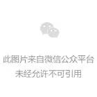 過午不食能減重？長達一年的實驗發現……