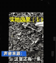 蚯蚓遭“滅絕式”捕殺，發生了什么？一公斤干品能賣300元？緊急提醒！