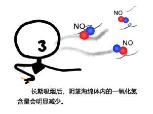 男性吸煙會影響性功能？