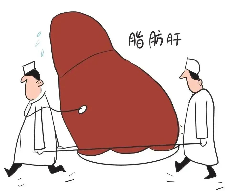 長期吃素就能避開脂肪肝？真相沒那么簡單……